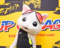 UP GARAGE HONEYS/アップちゃん UP GARAGE HONEYS/アップちゃん