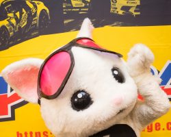 UP GARAGE HONEYS/アップちゃん UP GARAGE HONEYS/アップちゃん