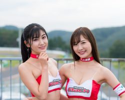 マッハ車検 GAL/犬宮 えむ、雪音 まりな マッハ車検 GAL/犬宮 えむ、雪音 まりな